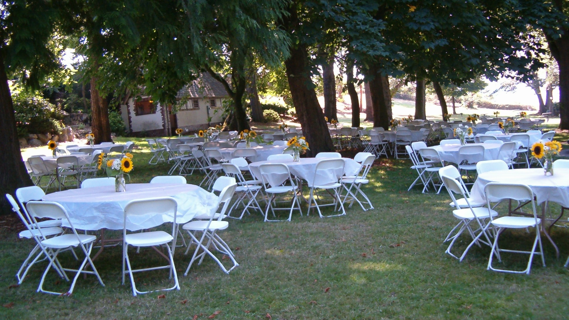 Tables under trees