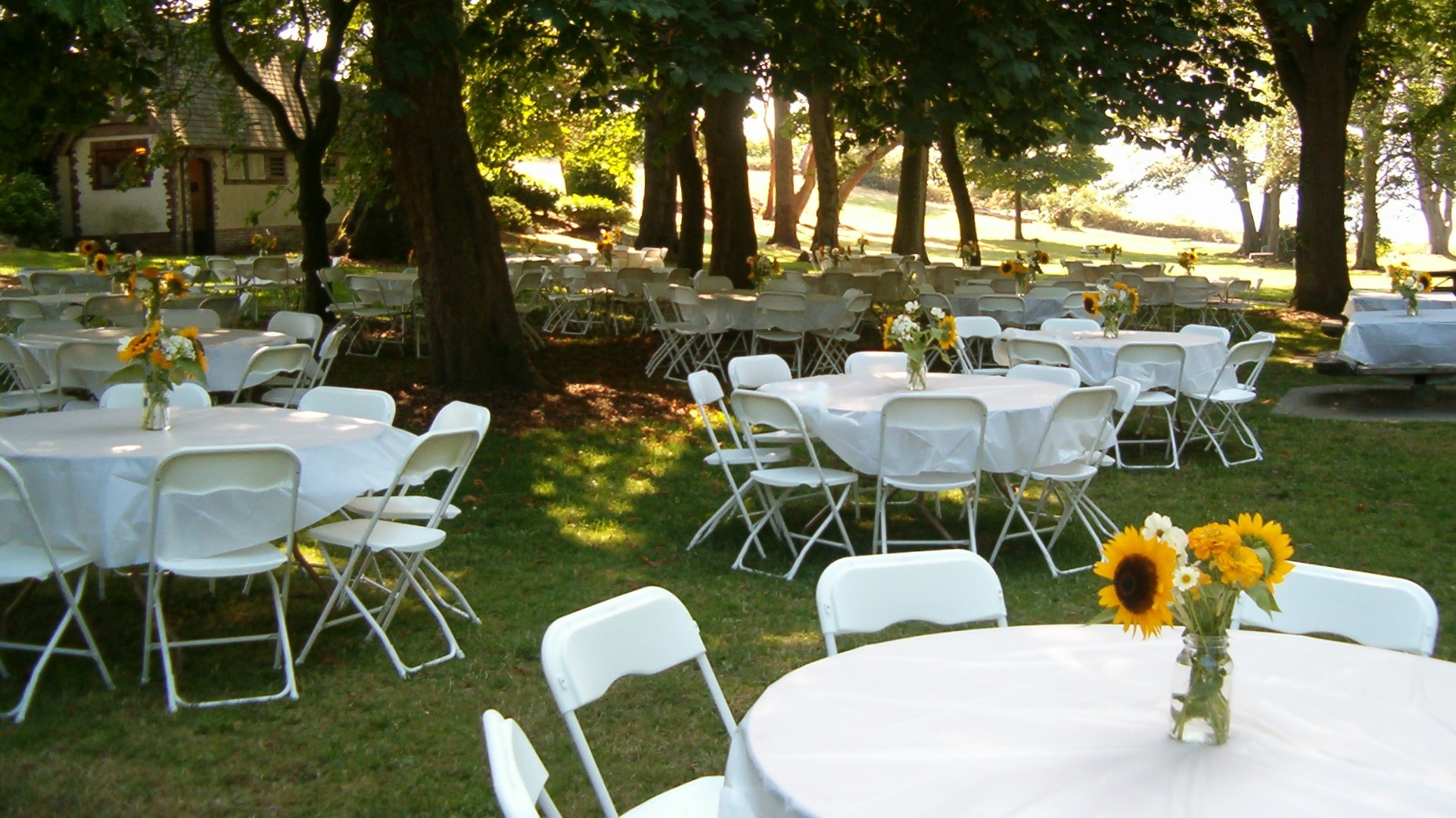 round tables under trees